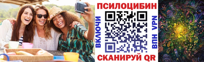дарк нет официальный сайт  Дедовск  Галлюциногенные грибы GOLDEN TEACHER 